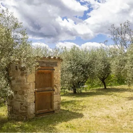 Mas Chantequinson Les Assions Exterior photo